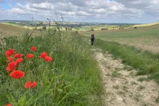 Wandeling Larroque